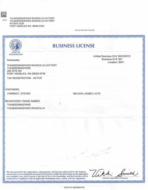 Business License